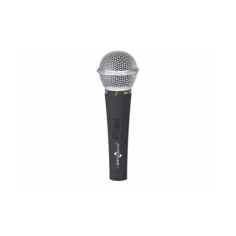 SM 100XLR