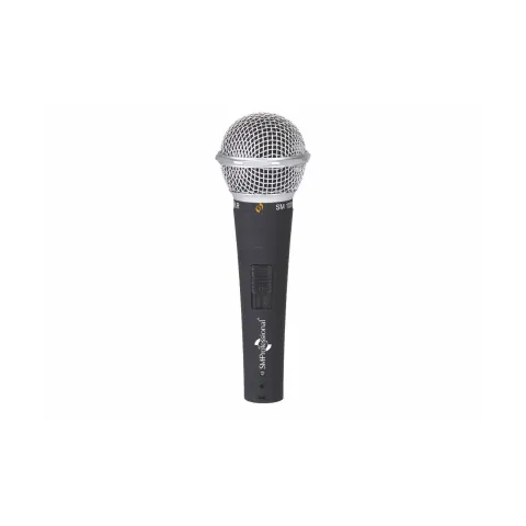 SM 100XLR
